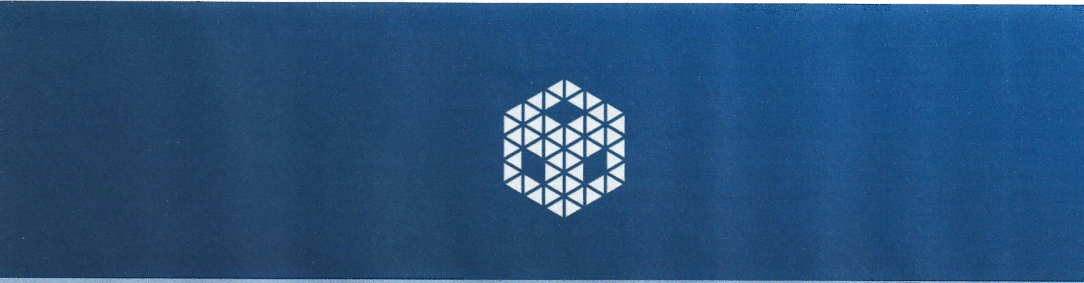Screenshot Company Portfolio